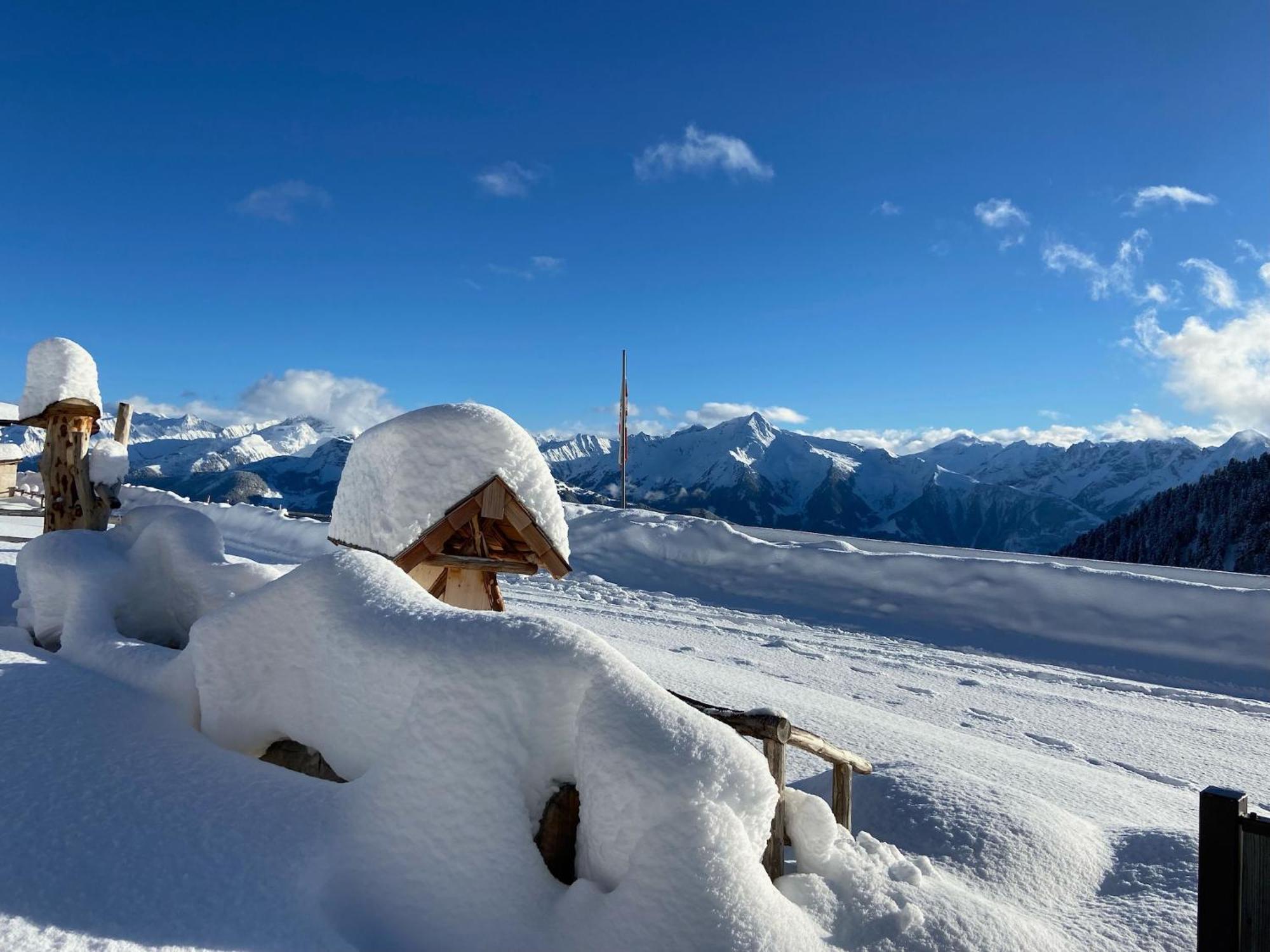 New Holiday Home On The Alm With Terrace And Balcony Zellberg 외부 사진
